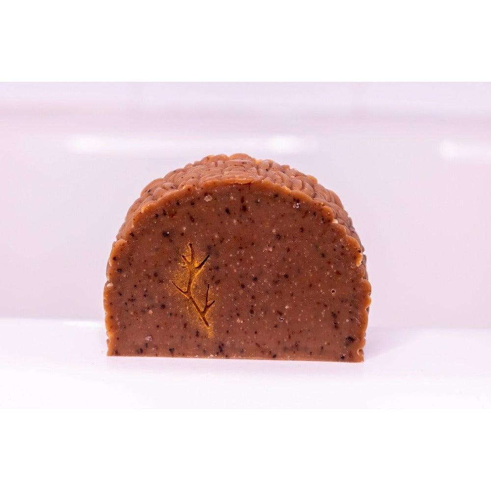 Espresso Me This Soap